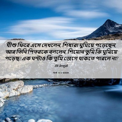 Picture 06 - মার্ক 14:37 BENIRV - যীশু ফিরে এসে - Bible Verse Picture