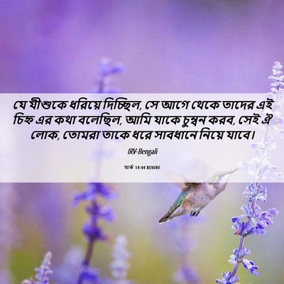Picture 06 - মার্ক 14:44 BENIRV - যে যীশুকে ধরিয়ে - Bible Verse Picture