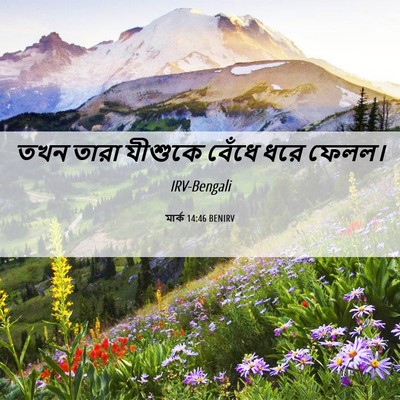 Picture 06 - মার্ক 14:46 BENIRV - তখন তারা যীশুকে - Bible Verse Picture