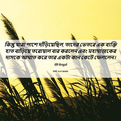 Picture 06 - মার্ক 14:47 BENIRV - কিন্তু যারা পাশে - Bible Verse Picture