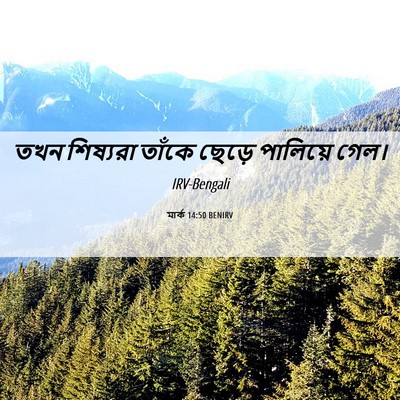 Picture 06 - মার্ক 14:50 BENIRV - তখন শিষ্যরা তাঁকে - Bible Verse Picture