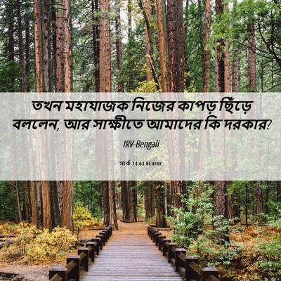 Picture 06 - মার্ক 14:63 BENIRV - তখন মহাযাজক নিজের - Bible Verse Picture