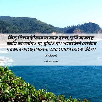 Picture 06 - মার্ক 14:68 BENIRV - কিন্তু পিতর - Bible Verse Picture