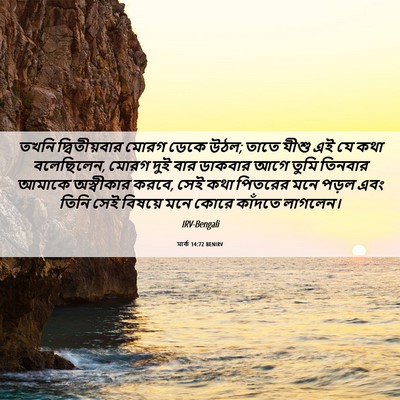 Picture 06 - মার্ক 14:72 BENIRV - তখনি দ্বিতীয়বার - Bible Verse Picture