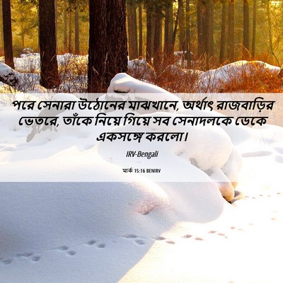 Picture 06 - মার্ক 15:16 BENIRV - পরে সেনারা উঠোনের - Bible Verse Picture