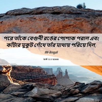 Picture 06 - মার্ক 15:17 BENIRV - পরে তাঁকে বেগুনী - Bible Verse Picture