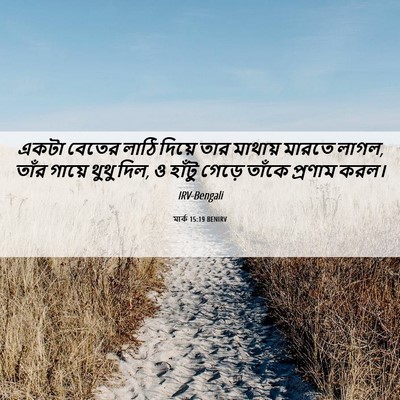 Picture 06 - মার্ক 15:19 BENIRV - একটা বেতের লাঠি - Bible Verse Picture
