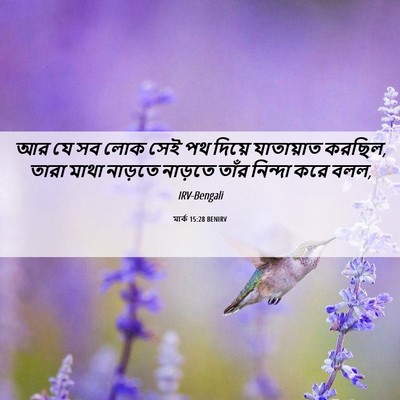Picture 06 - মার্ক 15:28 BENIRV - আর যে সব লোক সেই পথ - Bible Verse Picture