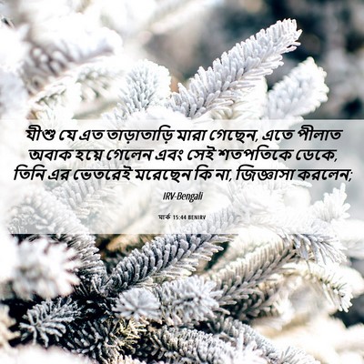 Picture 06 - মার্ক 15:44 BENIRV - যীশু যে এত - Bible Verse Picture