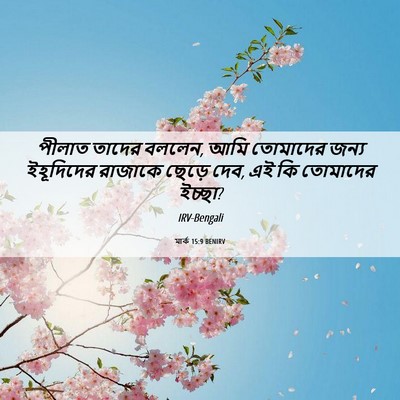 Picture 06 - মার্ক 15:9 BENIRV - পীলাত তাদের বললেন, - Bible Verse Picture
