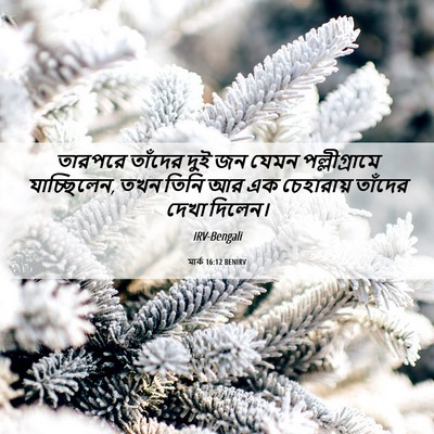 Picture 06 - মার্ক 16:12 BENIRV - তারপরে তাঁদের দুই - Bible Verse Picture