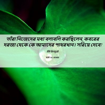 Picture 06 - মার্ক 16:3 BENIRV - তাঁরা নিজেদের - Bible Verse Picture