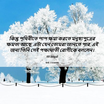 Picture 06 - মার্ক 2:10 BENIRV - কিন্তু পৃথিবীতে - Bible Verse Picture