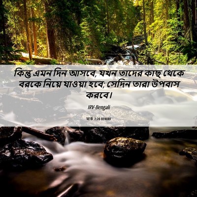 Picture 06 - মার্ক 2:20 BENIRV - কিন্তু এমন দিন - Bible Verse Picture