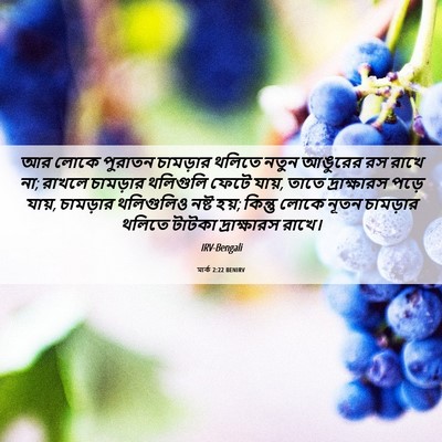 Picture 06 - মার্ক 2:22 BENIRV - আর লোকে পুরাতন - Bible Verse Picture