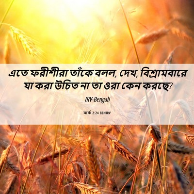 Picture 06 - মার্ক 2:24 BENIRV - এতে ফরীশীরা তাঁকে - Bible Verse Picture