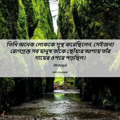 Picture 06 - মার্ক 3:10 BENIRV - তিনি অনেক লোককে - Bible Verse Picture