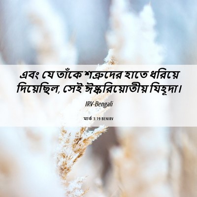 Picture 06 - মার্ক 3:19 BENIRV - এবং যে তাঁকে - Bible Verse Picture