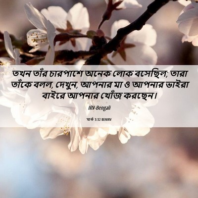 Picture 06 - মার্ক 3:32 BENIRV - তখন তাঁর চারপাশে - Bible Verse Picture