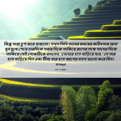 Picture 06 - মার্ক 3:5 BENIRV - কিন্তু তারা চুপ - Bible Verse Picture