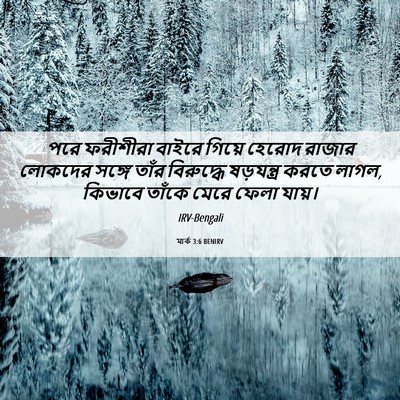 Picture 06 - মার্ক 3:6 BENIRV - পরে ফরীশীরা বাইরে - Bible Verse Picture