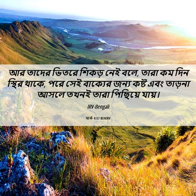 Picture 06 - মার্ক 4:17 BENIRV - আর তাদের ভিতরে - Bible Verse Picture