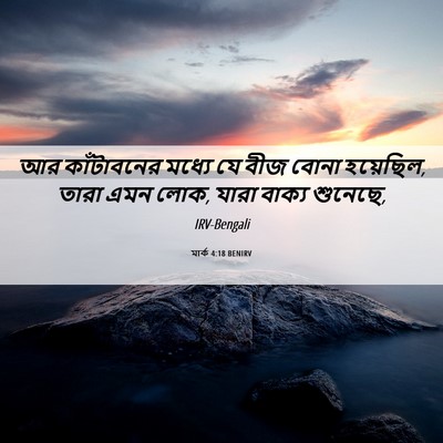 Picture 06 - মার্ক 4:18 BENIRV - আর কাঁটাবনের - Bible Verse Picture