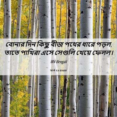 Picture 06 - মার্ক 4:4 BENIRV - বোনার দিন কিছু বীজ - Bible Verse Picture