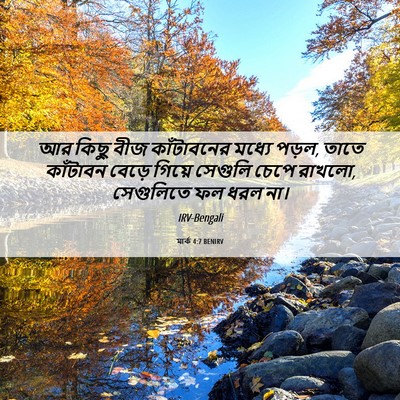 Picture 06 - মার্ক 4:7 BENIRV - আর কিছু বীজ - Bible Verse Picture