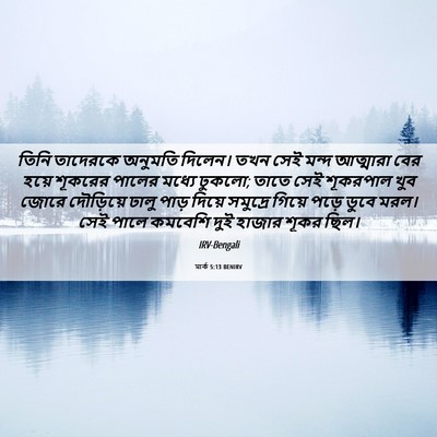 Picture 06 - মার্ক 5:13 BENIRV - তিনি তাদেরকে - Bible Verse Picture