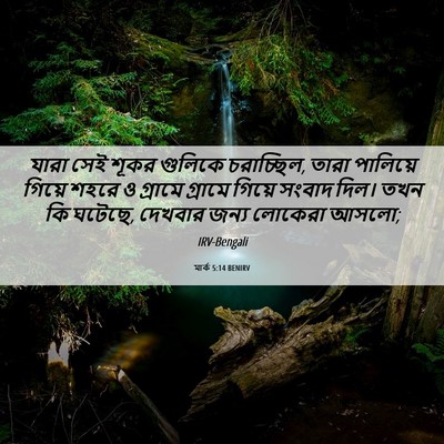 Picture 06 - মার্ক 5:14 BENIRV - যারা সেই শূকর - Bible Verse Picture