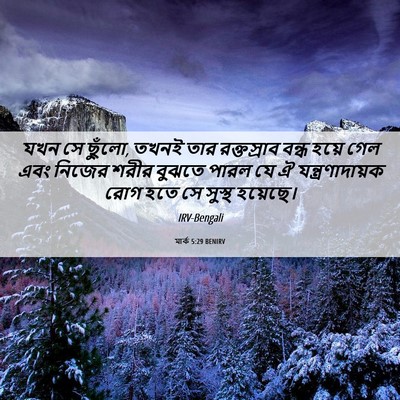 Picture 06 - মার্ক 5:29 BENIRV - যখন সে ছুঁলো, তখনই - Bible Verse Picture