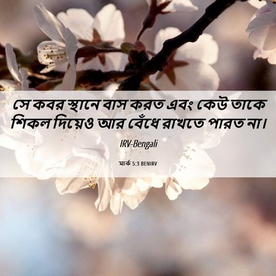 Picture 06 - মার্ক 5:3 BENIRV - সে কবর স্থানে বাস - Bible Verse Picture