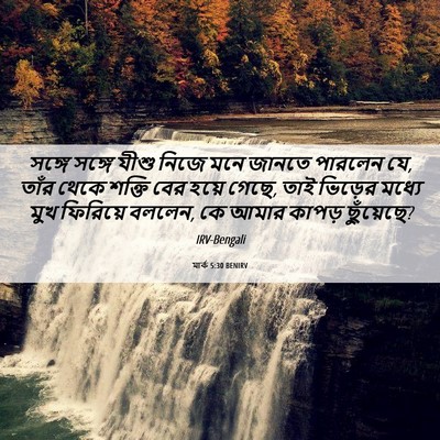 Picture 06 - মার্ক 5:30 BENIRV - সঙ্গে সঙ্গে যীশু - Bible Verse Picture