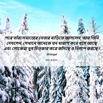 Picture 06 - মার্ক 5:38 BENIRV - পরে তাঁরা সমাজের - Bible Verse Picture