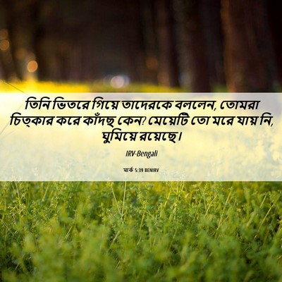 Picture 06 - মার্ক 5:39 BENIRV - তিনি ভিতরে গিয়ে - Bible Verse Picture