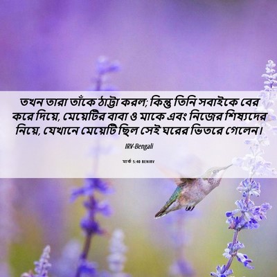 Picture 06 - মার্ক 5:40 BENIRV - তখন তারা তাঁকে - Bible Verse Picture