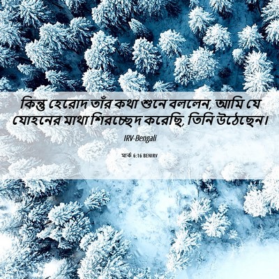 Picture 06 - মার্ক 6:16 BENIRV - কিন্তু হেরোদ তাঁর - Bible Verse Picture