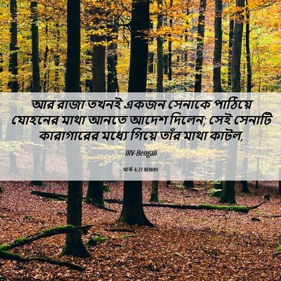Picture 06 - মার্ক 6:27 BENIRV - আর রাজা তখনই একজন - Bible Verse Picture