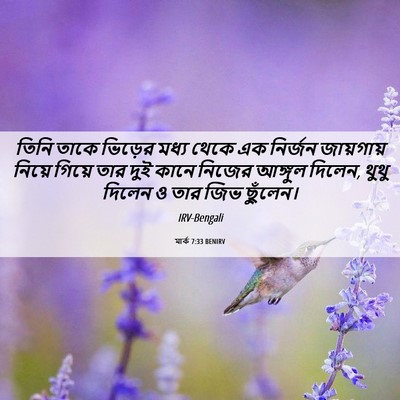 Picture 06 - মার্ক 7:33 BENIRV - তিনি তাকে ভিড়ের - Bible Verse Picture