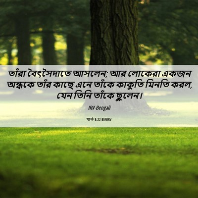 Picture 06 - মার্ক 8:22 BENIRV - তাঁরা বৈৎসৈদাতে - Bible Verse Picture