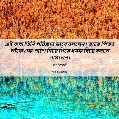 Picture 06 - মার্ক 8:32 BENIRV - এই কথা তিনি - Bible Verse Picture