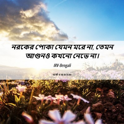 Picture 06 - মার্ক 9:48 BENIRV - নরকের পোকা যেমন - Bible Verse Picture