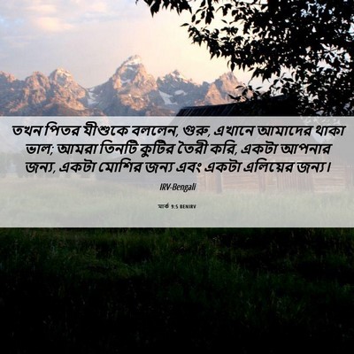 Picture 06 - মার্ক 9:5 BENIRV - তখন পিতর যীশুকে - Bible Verse Picture