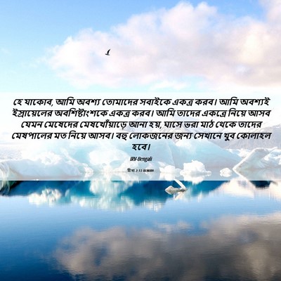Picture 06 - মীখা 2:12 BENIRV - হে যাকোব, আমি অবশ্য - Bible Verse Picture