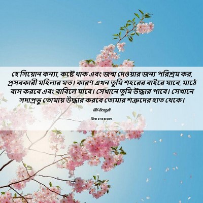 Picture 06 - মীখা 4:10 BENIRV - হে সিয়োন কন্যা, - Bible Verse Picture