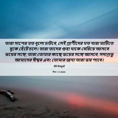 Picture 06 - মীখা 7:17 BENIRV - তারা সাপের মত ধূলো - Bible Verse Picture