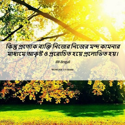 Picture 06 - যাকোবের 1:14 BENIRV - কিন্তু প্রত্যেক - Bible Verse Picture