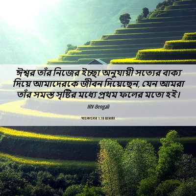 Picture 06 - যাকোবের 1:18 BENIRV - ঈশ্বর তাঁর নিজের - Bible Verse Picture