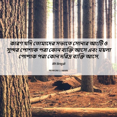 Picture 06 - যাকোবের 2:2 BENIRV - কারণ যদি তোমাদের - Bible Verse Picture